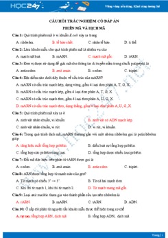 Câu hỏi trắc nghiệm nâng cao chủ đề Phiên mã, dịch mã Sinh học 9 có đáp án
