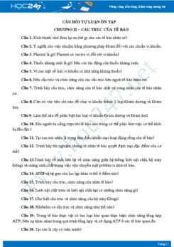 Câu hỏi tự luận ôn tập Chương II- Sinh học 10