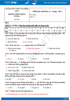 Đề kiểm tra 15 phút Chương Nguyên phân, giảm phân Sinh học 10  - Trường THPT Hùng Vương