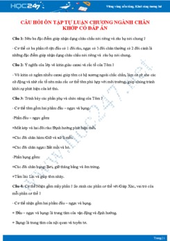 Câu hỏi tự luận ôn tập Chương Ngành Chân khớp Sinh học 7 có đáp án