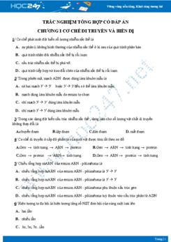 Bài tập trắc nghiệm Chương I Cơ chế di truyền và biến dị Sinh học 12 có đáp án