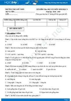 Đề kiểm tra HK1 môn Sinh học 9 năm 2018-2019 - Trường THCS Mỹ Thới có đáp án