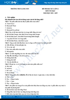 Đề thi HK2 môn Tin học 9 năm 2018 - 2019 Trường THCS Long Sơn