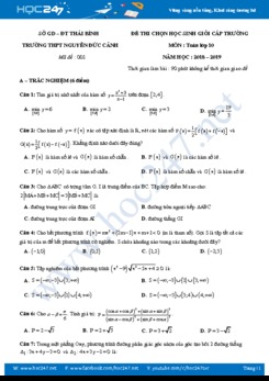 Đề thi HSG môn Toán 10 năm 2019 Trường THPT Nguyễn Đức Cảnh - Thái Bình