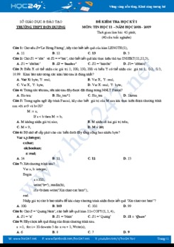 Đề thi HK1 môn Tin học 11 năm 2018 - 2019 Trường THPT Đơn Dương