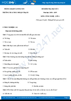 Đề thi Học kì 1 năm học 2018-2019 môn Công Nghệ 6 trường TH&THCS Nhuận Trạch