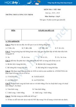 Đề kiểm tra 1 tiết HK1 môn Sinh học lớp 9 năm 2018-2019 - Trường THCS Lương Tấn Thịnh có đáp án