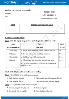 Đề thi HK2 môn Sinh học lớp 8 năm 2018-2019 - Trường THCS Dương Thị Cẩm Vân có đáp án