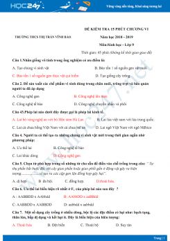 Đề kiểm tra 15 phút Chương Ứng dụng di truyền Sinh học 9 - Trường THCS Thị Trấn Vĩnh Bảo có đáp án