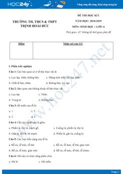 Đề thi HK1 môn Sinh học lớp 6 năm 2018-2019 - Trường TH, THCS & THPT Trịnh Hoài Đức có đáp án