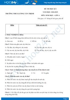 Đề thi HK1 môn Sinh học lớp 6 năm 2018-2019 - Trường THCS Lương Tấn Thịnh có đáp án