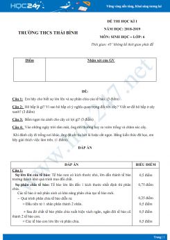 Đề thi HK1 môn Sinh học lớp 6 năm 2018-2019 - Trường THCS Thái Bình có đáp án