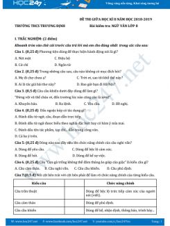 Đề thi giữa HK2 môn Ngữ văn lớp 8 năm 2018-2019, Trường THCS Trương Định
