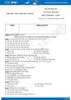 Đề thi HK1 môn Sinh học lớp 6 năm 2018-2019 - Trường THCS Tôn Đức Thắng có đáp án
