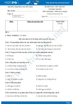 Đề kiểm tra 1 tiết HK1 môn Sinh học lớp 6 năm 2018-2019 - Trường TH & THCS Nguyễn Trãi có đáp án