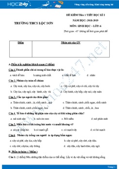 Đề kiểm tra 1 tiết HK1 môn Sinh học lớp 6 năm 2018-2019 - Trường THCS Lộc Sơn có đáp án