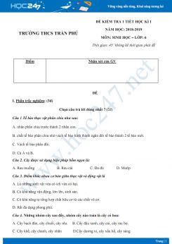 Đề kiểm tra 1 tiết HK1 môn Sinh học lớp 6 năm 2018-2019 - Trường THCS Trần Phú có đáp án