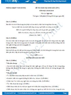 Đề thi HSG môn Ngữ văn lớp 6 năm 2019, Phòng GD&ĐT Tam Dương