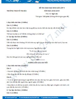 Đề thi HSG môn Ngữ văn lớp 9 năm 2019, Trường THCS Võ Thị Sáu