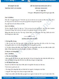 Đề thi HSG môn Ngữ văn lớp 11 năm 2019, Trường THPT Lưu Hoàng