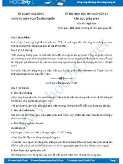 Đề thi HSG môn Ngữ văn lớp 11 năm 2019, Trường THPT Nguyễn Bỉnh Khiêm