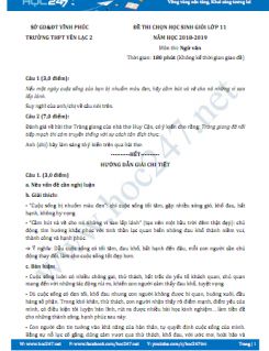 Đề thi HSG môn Ngữ văn lớp 11 năm 2019, Trường THPT Yên Lạc 2