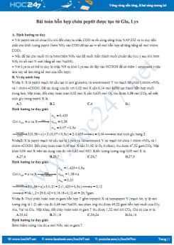 Bài toán hỗn hợp chứa peptit được tạo từ Glu, Lys môn Hóa học 12 năm 2019 - 2020