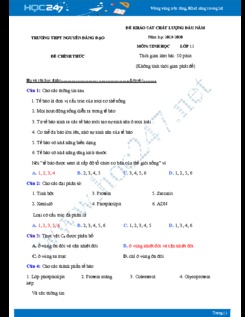Đề KSCL đầu năm môn Sinh học lớp 11 năm 2019-2020 - Trường THPT Nguyễn Đăng Đạo có đáp án