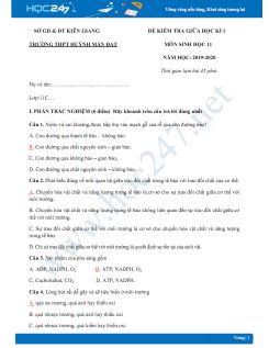 Đề thi giữa HK1 môn Sinh lớp 11 năm 2019-2020 - Trường THPT Huỳnh Mẫn Đạt có đáp án