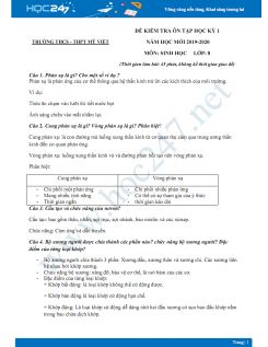 Đề kiểm tra ôn tập HK1 môn Sinh học 8 năm 2019-2020 - Trường THCS - THPT Mỹ Việt có đáp án