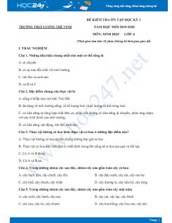 Đề kiểm tra ôn tập HK1 môn Sinh học 6 năm 2019-2020 - Trường THCS Lương Thế Vinh có đáp án