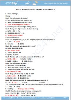 Bộ câu hỏi đề cương ôn tập môn Hóa học 11 năm 2019 - 2020