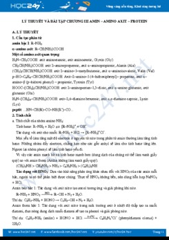 Lý thuyết và bài tập Chương III Amin - Amino axit - Protein môn Hóa học 12 năm 2019-2020