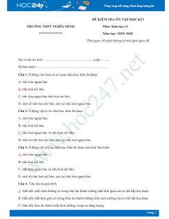 Đê kiểm tra ôn tập HK1 môn Sinh 11 năm 2019-2020 - Trường THPT Nghĩa Minh có đáp án