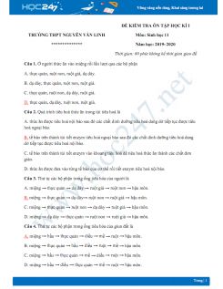 Đê kiểm tra ôn tập HK1 môn Sinh 11 năm 2019-2020 - Trường THPT Nguyễn Văn Linh  có đáp án