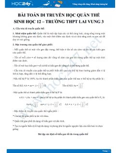 Bài toán di truyền học quần thể Sinh học 12 - Trường THPT Lai Vung 3