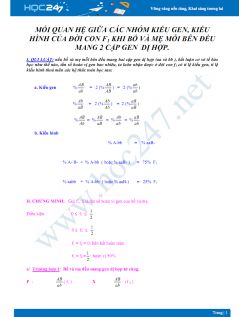 Bài toán mối quan hệ giữa các nhóm kiểu gen, kiểu hình của đời con F1 khi bố và mẹ mỗi bên đều mang 2 cặp gen dị hợp Sinh học 12