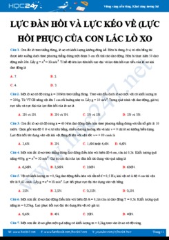 Chuyên đề bài tập Lực đàn hồi và lực kéo về (lực hồi phục) của Con lắc lò xo năm 2019