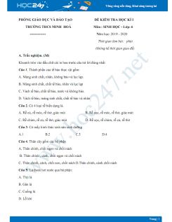 Đề kiểm tra HK1 môn Sinh học lớp 6 năm 2019-2020 - Trường THCS Minh Hòa