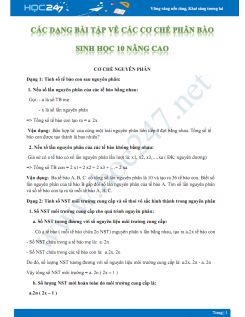 Các dạng bài tập về các cơ chế phân bào Sinh học 10 nâng cao