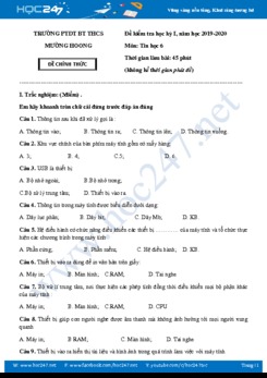 Đề kiểm tra HK1 môn Tin lớp 6 năm 2019-2020 Trường PTDT BT THCS Mường Hoong