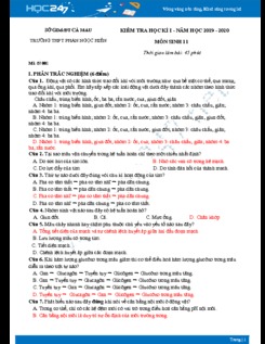 Đề kiểm tra HK1 môn Sinh học 11 năm 2019-2020 - Trường THPT Phan Ngọc Hiển có đáp án