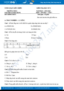 Đề thi HK1 môn Tin học 7 năm 2019 Trường THCS Nguyễn Lương Bằng