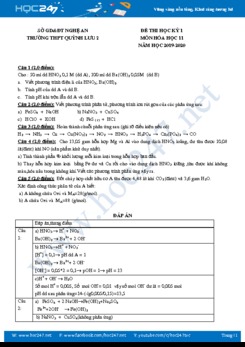 Đề thi HK1 môn Hóa học 11 năm 2019-2020 Trường THPT Quỳnh Lưu 2