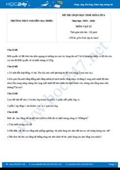Đề thi HSG lớp 6 năm học 2019-2020 trường THCS Nguyễn Gia Thiều có đáp án
