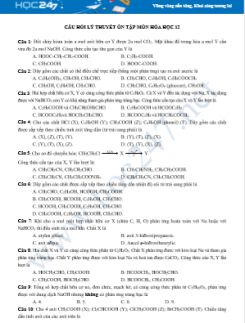 Câu hỏi lý thuyết ôn tập môn Hóa học 12 năm 2019-2020 có đáp án