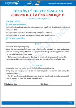Tổng ôn Lý thuyết nâng cao Chương II Cảm ứng Sinh học 11