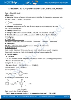 Lý thuyết và bài tập vận dụng chương Amin, Amino Axit, Protein