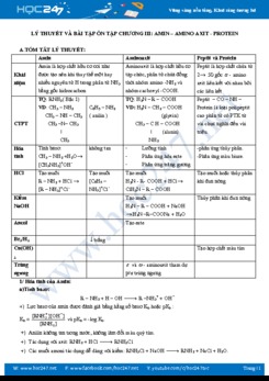 Lý thuyết và bài tập ôn tập Chương III Amin - Amino Axit - Protein môn Hóa học 12