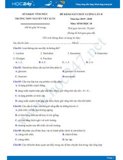 Đề KSCL môn Sinh học lớp 10 năm 2019-2020 - Trường THPT Nguyễn Viết Xuân lần 2 có đáp án